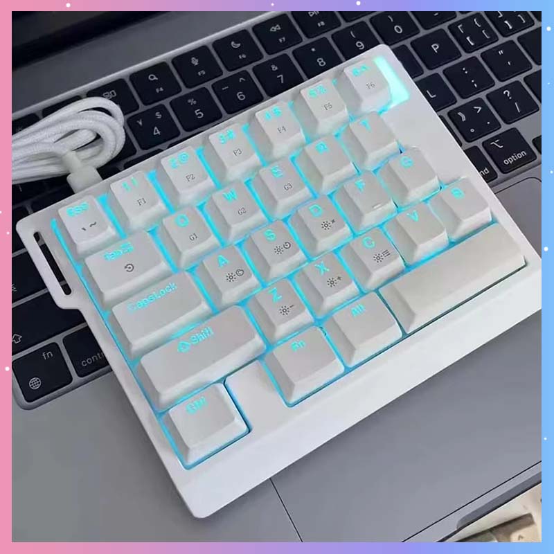 Esports Gaming Keyboard - HE30 기계식 게이밍 키보드 29키 마그네틱